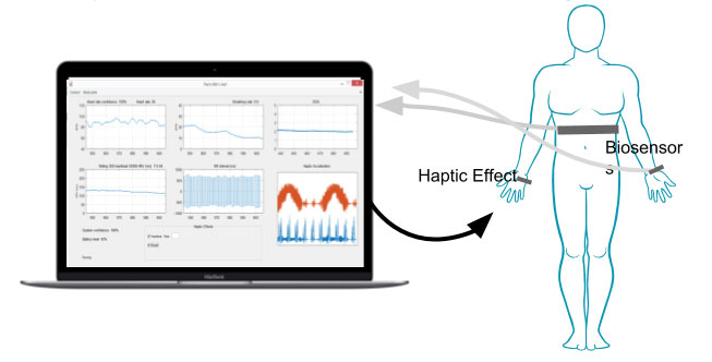 HapLand: A Scalable Robust Emotion Regulation Haptic System Testbed